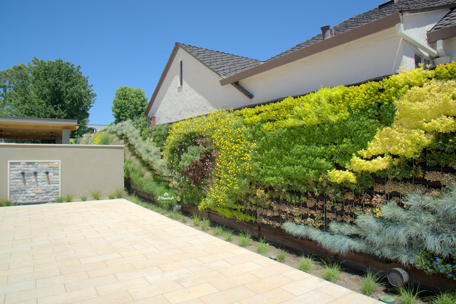 Residential Living Wall